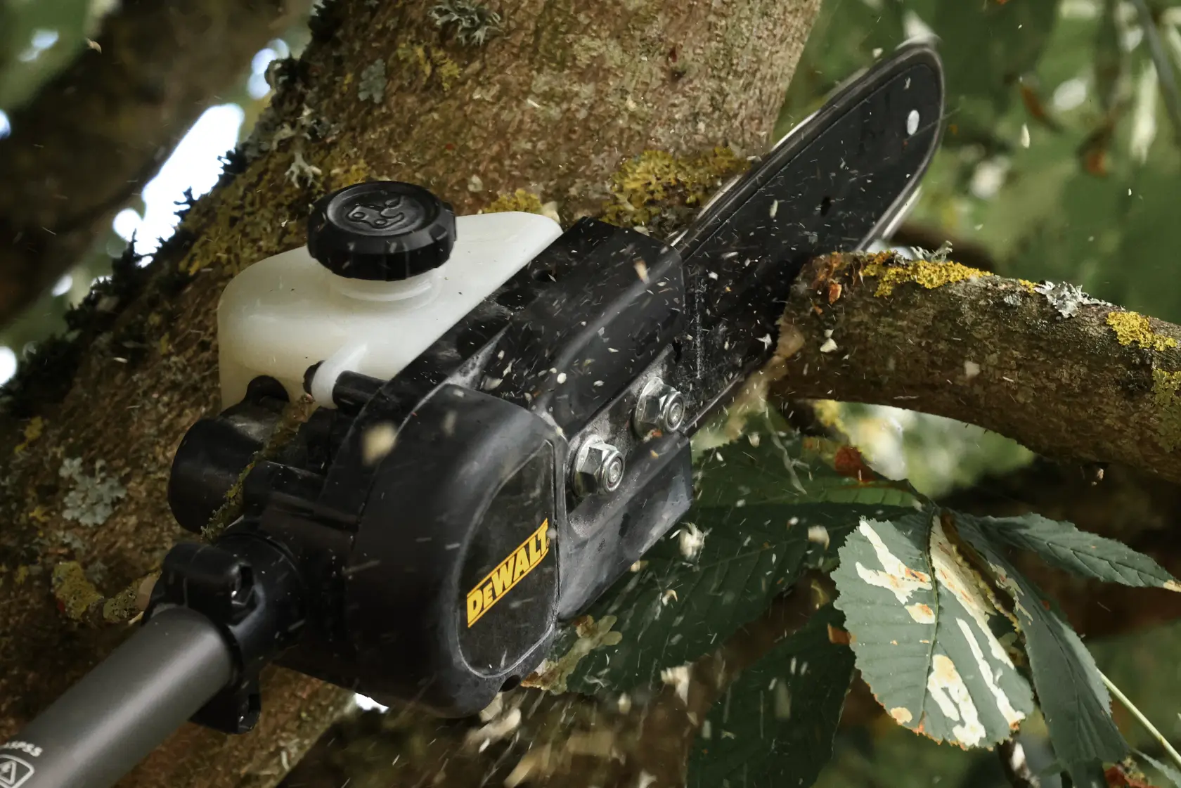 Fixação de Serra de Haste Dividida DEWALT®