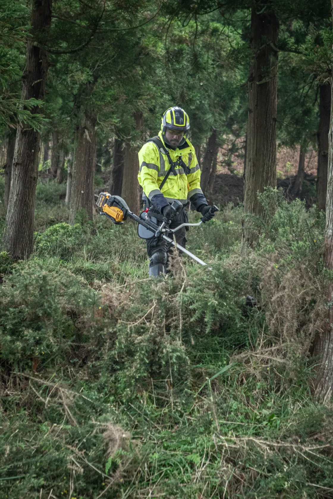 Funcionário usa DEWALT DCMBC823N, DCMBC823N-XJ roçadora na floresta, com roupa de proteção.