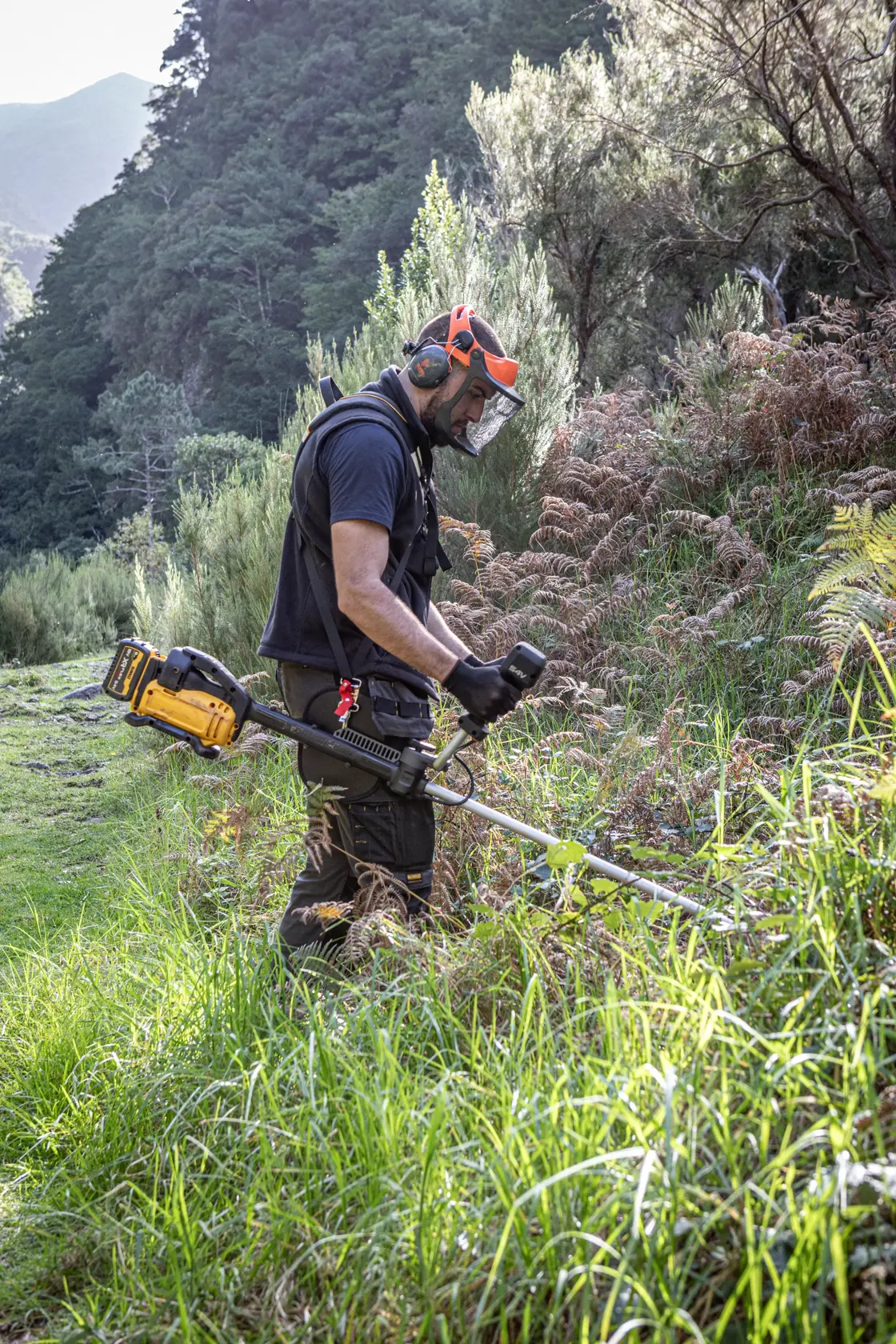 Pessoa usa DEWALT DCMBC823N, DCMBC823N-XJ roçadeira ao ar livre com equipamento de proteção.