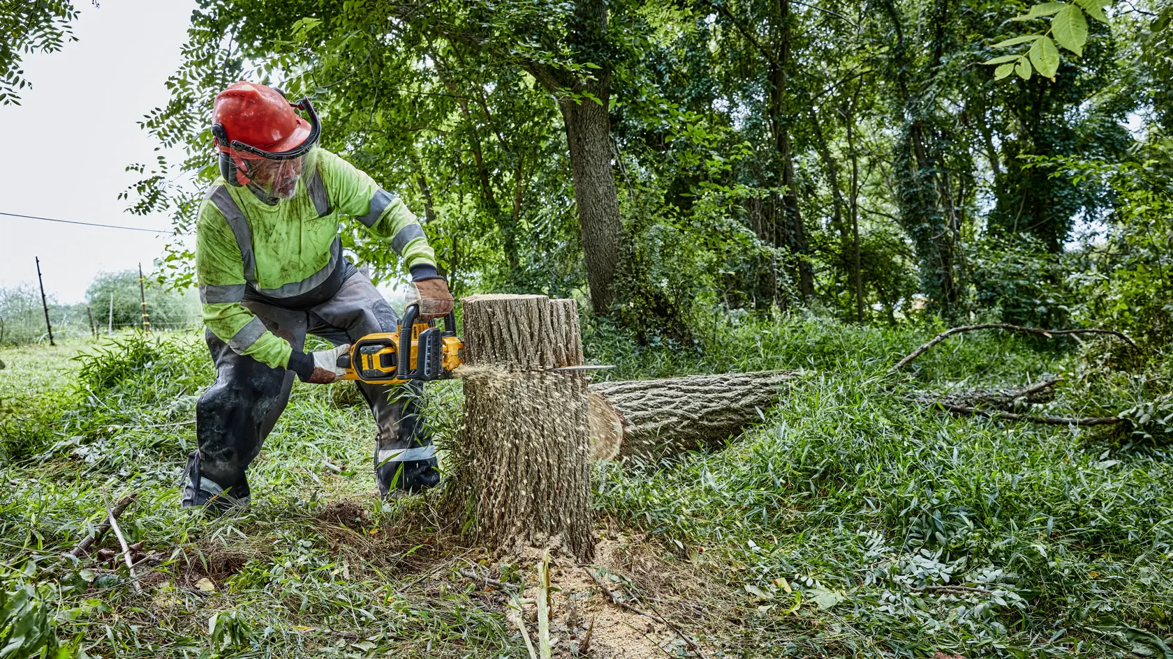 Uma pessoa usando equipamento de segurança utiliza uma motosserra sem fio DEWALT para cortar um grande tronco de árvore ao ar livre, cercada por grama e árvores.