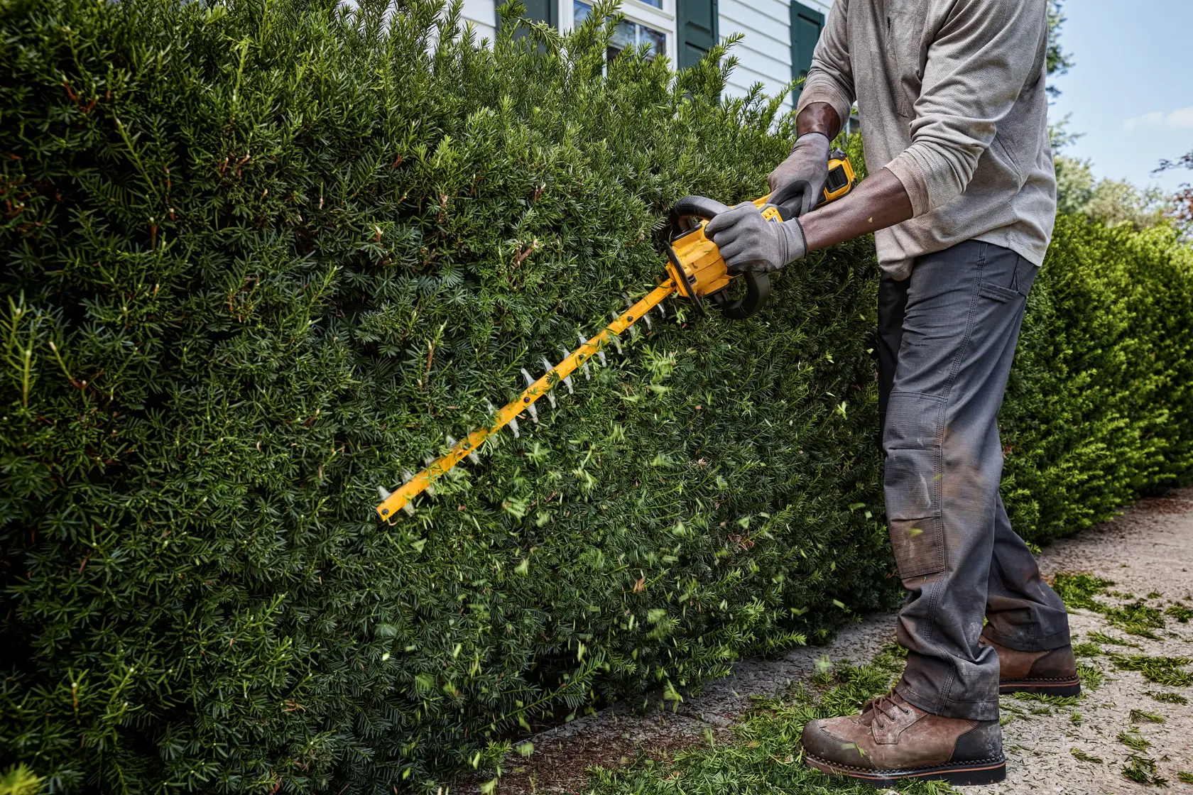 Pessoa usa aparador de cercas sem fio DEWALT para podar arbustos densos ao ar livre.