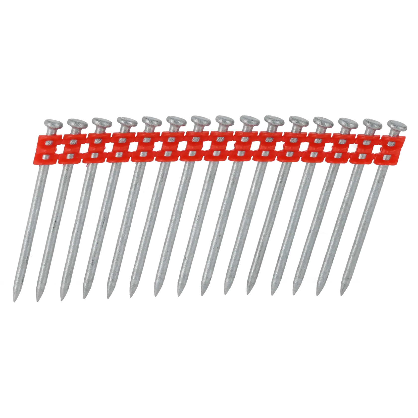 Uma faixa de pregos de aço com cabeças planas, unidos por uma tira de plástico vermelho para uso em uma pistola de pregos.