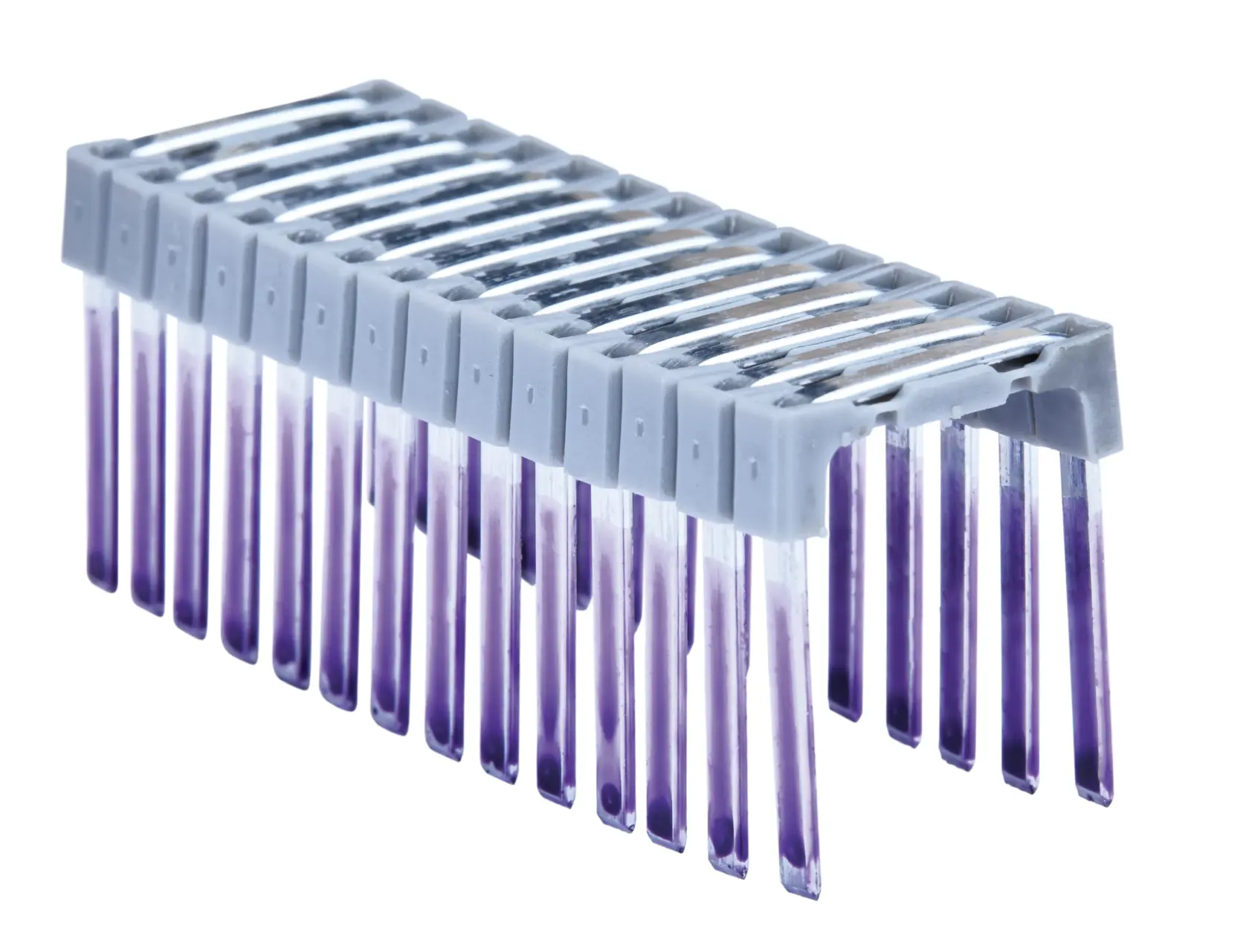 Close-up de tira de encadernação plástica DEWALT com dentes roxos sobre fundo branco.
